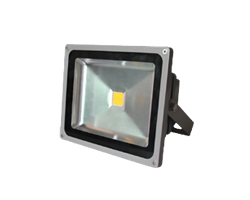 LED reflektor 10W, 5500-6000K, hladna-bijela